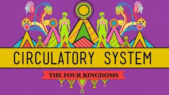 Episode 27 Circulatory & Respiratory Systems
