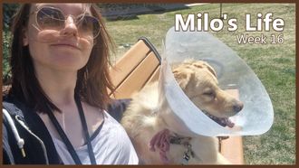 Episode 16 The End of an Era | Week 16