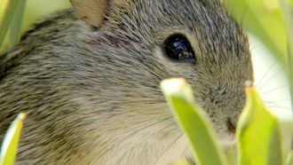 Episode 2 Table Mountain National Park