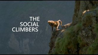 Episode 9 Social Climbers