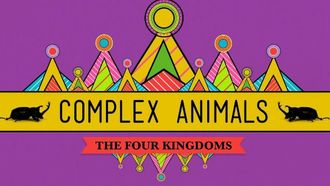 Episode 23 Complex Animals: Annelids & Arthropods