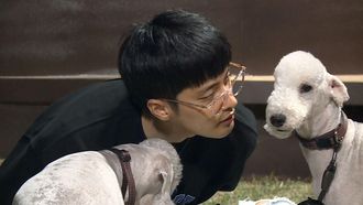 Episode 295 