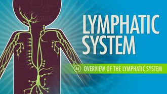 Episode 44 Lymphatic System