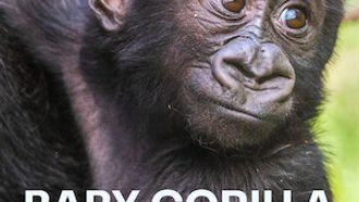 Episode 2 Female Intuition