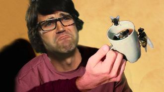 Episode 58 Bugs In Your Frappucino