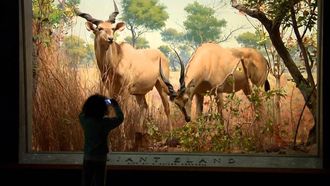 Episode 12 Museum of Natural History