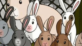 Episode 10 Curious George's Bunny Hunt