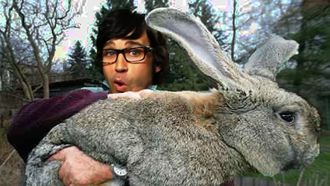 Episode 43 Bunny Wreaks Havoc At Kid's Park