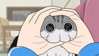 Episode 10 Night 10: A Cat's Head-Butting Attack