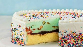 Episode 6 Ice Cream Cake
