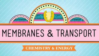 Episode 5 In Da Club - Membranes & Transport