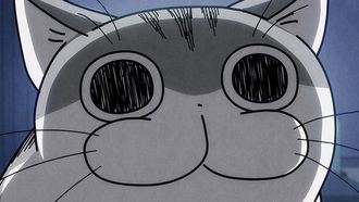 Episode 16 Night 16: When Cats Come to You During Emotional Scenes