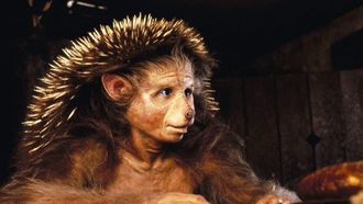 Episode 5 Hans My Hedgehog