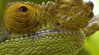 Episode 2 Castaway Island