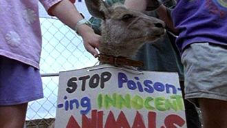 Episode 16 Skippy and the Polluted River