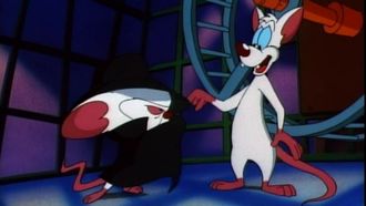 Episode 4 That Smarts