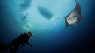 Episode 3 Hawaii: The Big Island