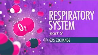 Episode 32 Respiratory System, Part 2