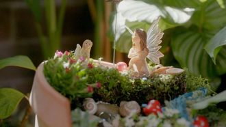 Episode 15 Teeny Tiny Garden