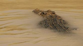 Episode 1 Man Eaters