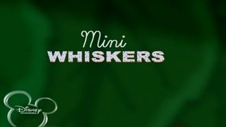 Episode 36 Mini Whiskers