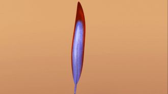 Episode 13 Now with Feathers!