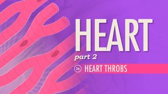 Episode 26 The Heart, Part 2 - Heart Throbs