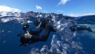 Episode 2 Searching For Monsters