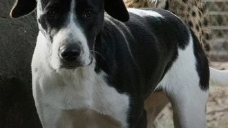 Episode 1 Born To Be Different