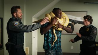 Episode 2 Rabbits and Pythons