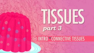Episode 4 Tissues, Part 3 - Connective Tissues