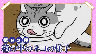 Episode 92 Night 92: What's the Cat Doing Inside the Box?