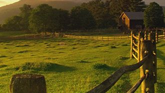 Episode 19 Milk Cows in the Morning