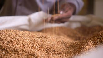 Episode 2 The Rice Kingdom