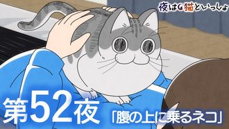 Episode 52 Night 52: A Cat Climbing on Your Stomach