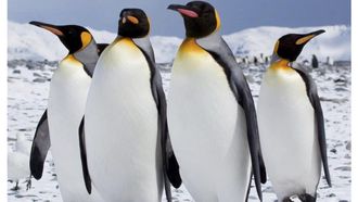 Episode 1 Outback Deserts