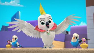 Episode 10 Go Birdy