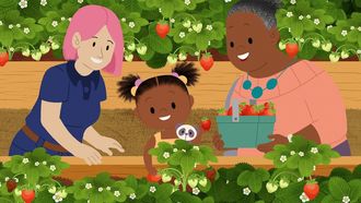 Episode 21 Summer: It's Time to Pick Strawberries