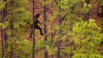 Episode 8 Unexplained Phenomena