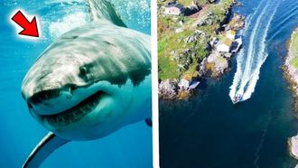 Episode 2 Braggs Island