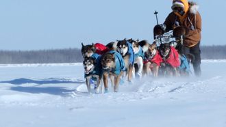 Episode 11 Endurance