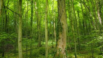 Episode 5 Joshua Davies