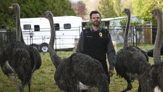 Episode 1 Weasels and Ostriches