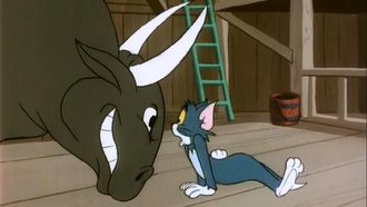 Episode 9 Cat in the Fiddle
