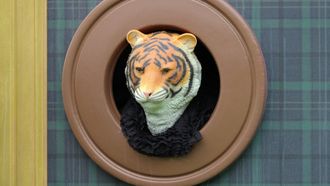 Episode 5 The Kill Shot