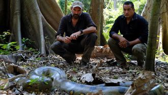 Episode 5 Cold Blooded Peruvian Predator