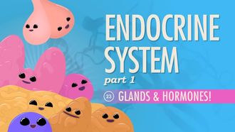 Episode 23 Endocrine System, Part 1 - Glands & Hormones