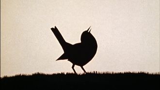Episode 8 Shadow