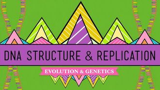 Episode 10 DNA Structure and Replication