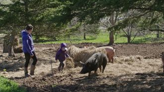 Episode 5 Black Market Butcher